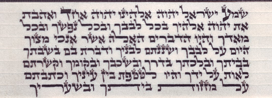 תפילין גסות. נוסח אשכנזי. הסופר: יוסף קובוס